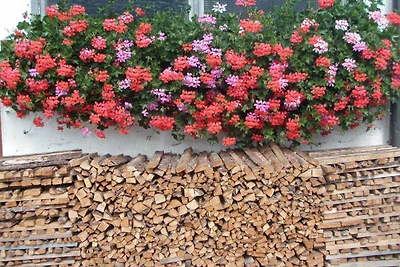 Ferienwohnung Landhaus