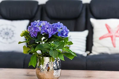 Ferienwohnung Schlipf