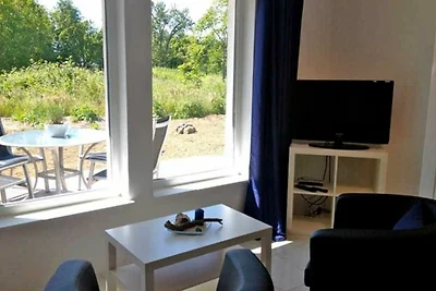 Appartement 1 - mit grosser Terrasse