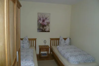 Albergo Cultura ed escursioni Zempin