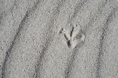 Appartamento Vacanza con famiglia Putgarten