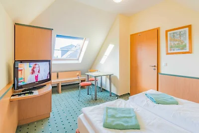 4-Zimmer-Apartment - B43