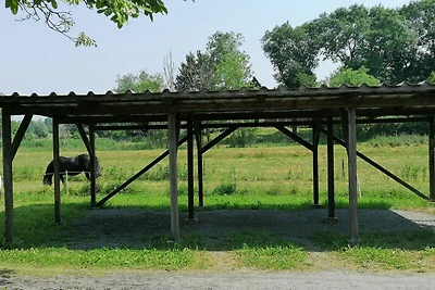 Appartamento Vacanza con famiglia Drochtersen Krautsand