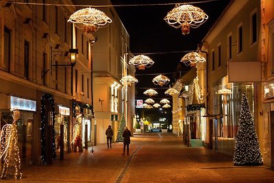 Albergo Cultura ed escursioni Sankt Veit an der Glan