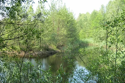 Vakantieappartement Gezinsvakantie Liepgarten
