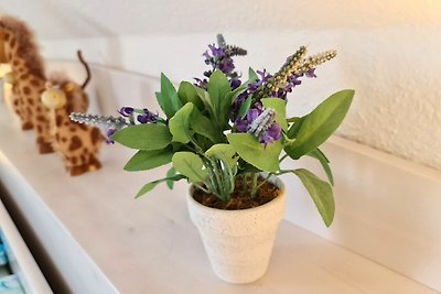 Vakantieappartement Gezinsvakantie Trassenheide