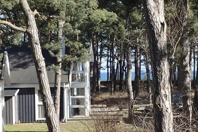 Ferienhaus Ostsee Strandhaus Seerobbe