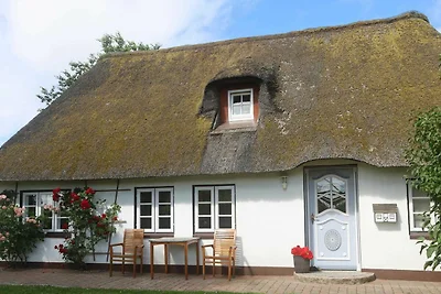 Vakantiehuis Ontspannende vakantie Nieblum
