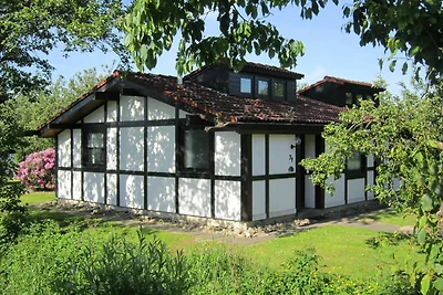 Ferienhaus 79 Scout 42qm für max.