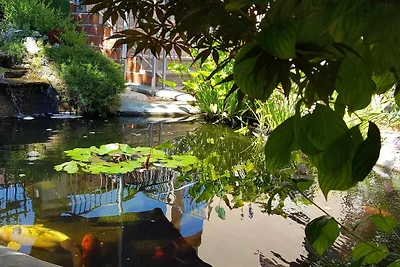Vakantieappartement Gezinsvakantie Banjole