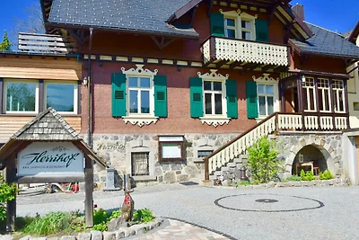 Hotel Cultuur en bezienswaardigheden Todtnau