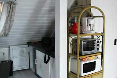 Vakantieappartement Gezinsvakantie Ostrhauderfehn