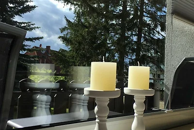 Vakantieappartement Gezinsvakantie Bad Harzburg