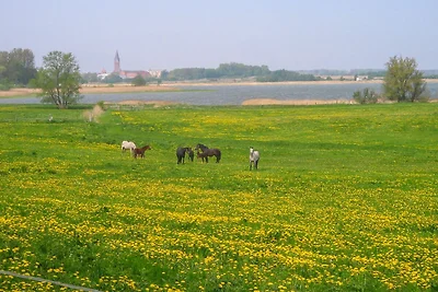 Vakantiehuis Ontspannende vakantie Kenz-Küstrow