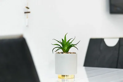 Ferienwohnung Ebbe (3)