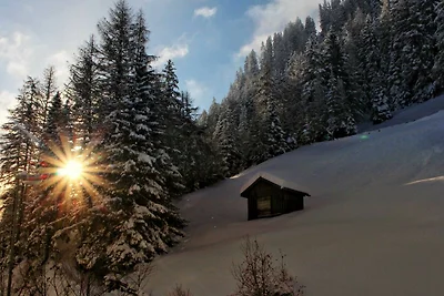 Hochmoor L