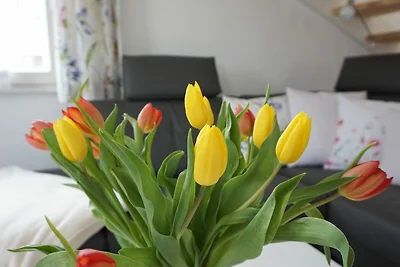 Vakantiehuis Ontspannende vakantie Zierow