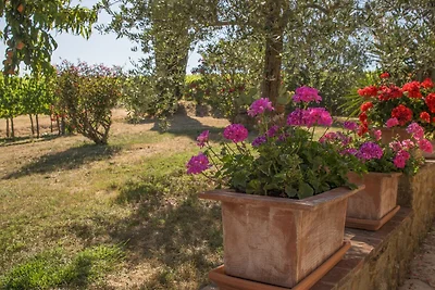 Vakantiehuis Ontspannende vakantie Siena