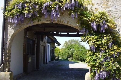 Vakantieappartement Gezinsvakantie Schallstadt