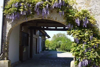 Appartamento Vacanza con famiglia Schallstadt