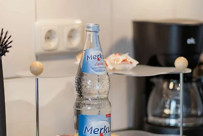 Vakantieappartement Gezinsvakantie Dessau-Roßlau