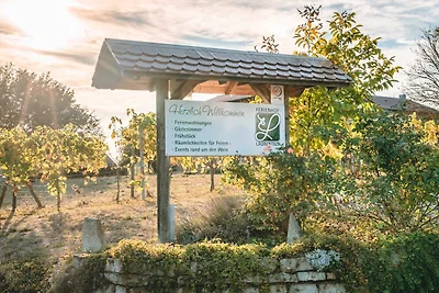 Casa vacanze Vacanza di relax Oedheim