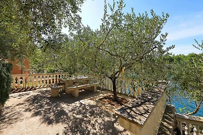 Appartamento Vacanza con famiglia Biograd na Moru