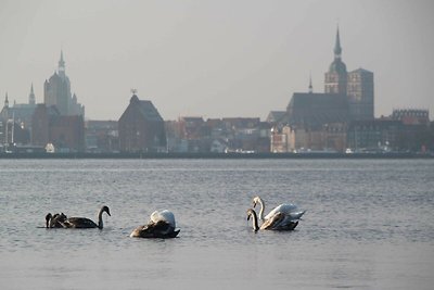 Ferienhaus Poseidon