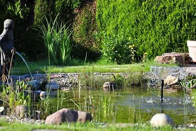 Ferienwohnung Bramwaldblick mit 2...