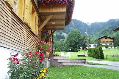 Vakantieappartement Gezinsvakantie Schoppernau