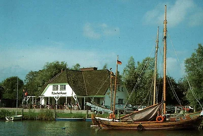 Ferienwohnung Forelle