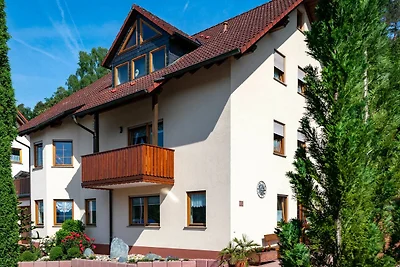 Vakantieappartement Gezinsvakantie Laudenbach
