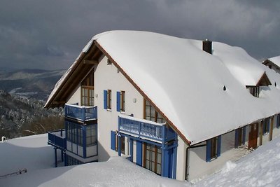 Vakantieappartement Gezinsvakantie Schöfweg