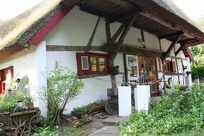 Vakantieappartement Gezinsvakantie Ahrenshoop
