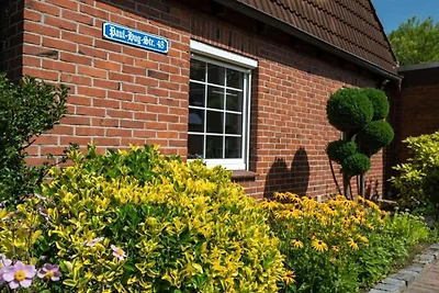 Ferienhaus Friesische Brise