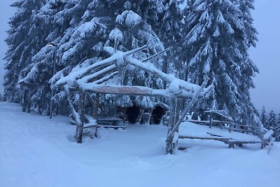 Vakantieappartement Gezinsvakantie Hahnenklee