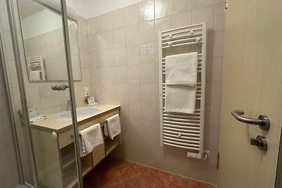 Komfort-DZ mit Balkon und Schlafsofa