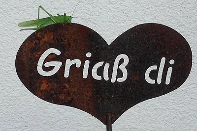 Vakantieappartement Gezinsvakantie Pfunds