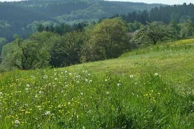 Vakantieappartement Gezinsvakantie Wald-Michelbach