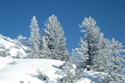 Casa vacanze Vacanza di relax Eisenberg