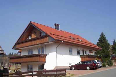 Vakantieappartement Gezinsvakantie Sankt Andreasberg