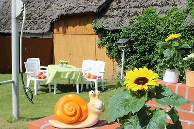 Appartamento Vacanza con famiglia Zirchow