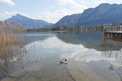 Apartamento Vacaciones familiares Tiefgraben am Mondsee
