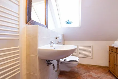 Strandläufer * App. 1