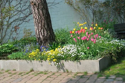 Villa Bismarckshöhe Wohnung Clara