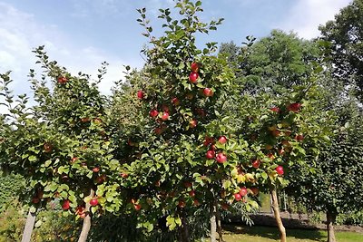 Ferienwohnung Rose