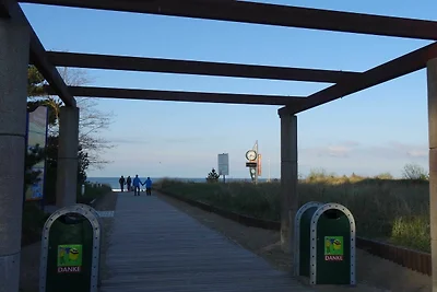 Ferienhaus Lachmöwe