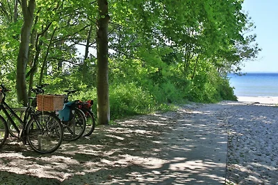 Smutje, Ferienhaus