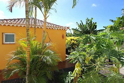 Las Papayeras B