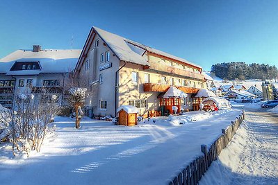 Albergo Cultura ed escursioni Lenzkirch